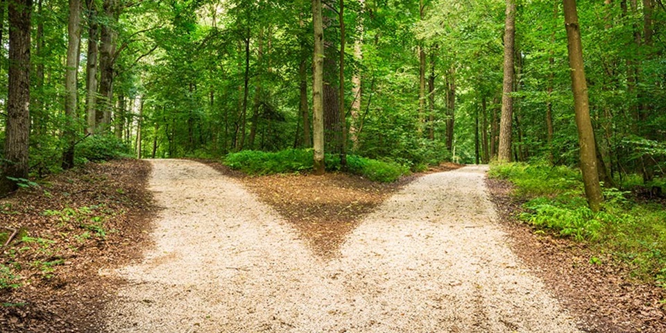 5 alternative pathways into university Discover Murdoch University's alternative entry pathways