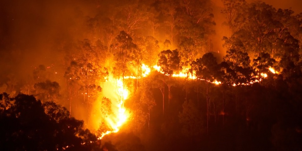 A degree that can help improve the world - Feature Image v2 Out of control bushfire