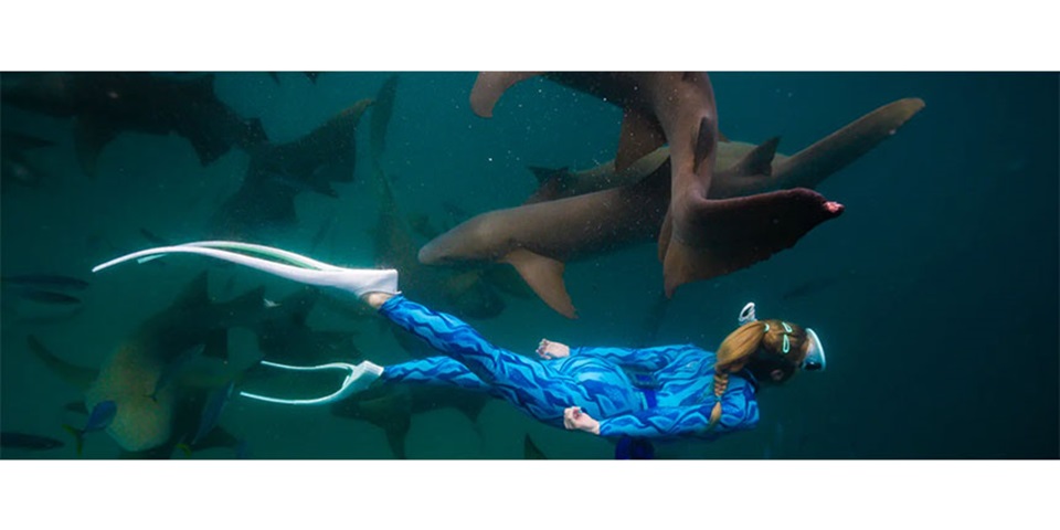 Amanda-wetsuit-site-feature .