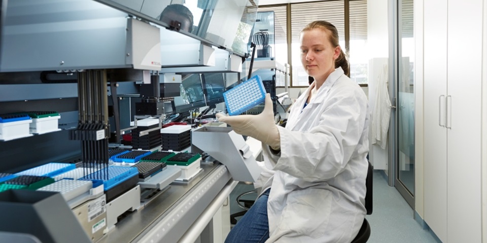 Viewing samples of antimicrobial bacteria