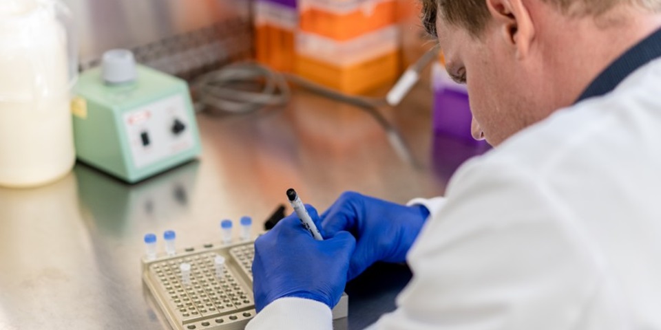 analysing-samples-in-lab2