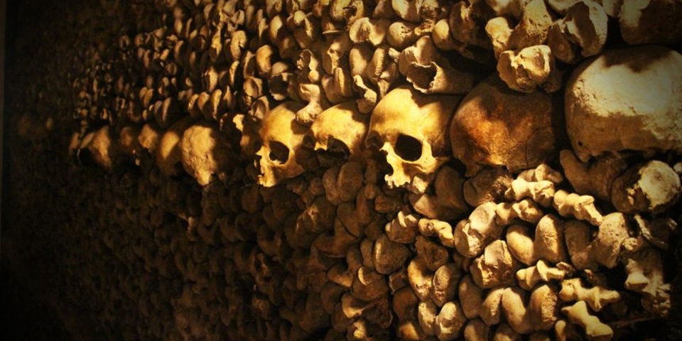 Bones(860x480)
