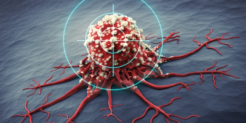 cancer cell