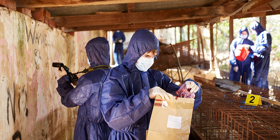 Cold case feature Forensic scientists at a crime scene
