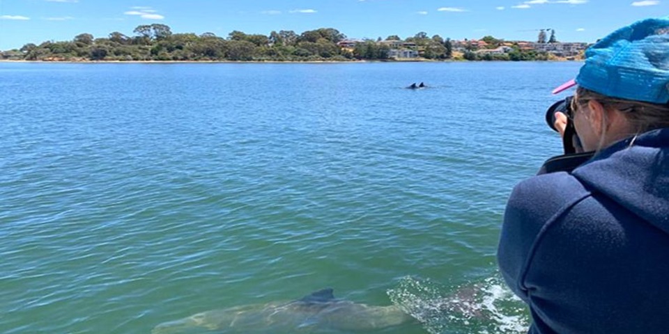 DolphinBromance1(860 ? 480px) (1)