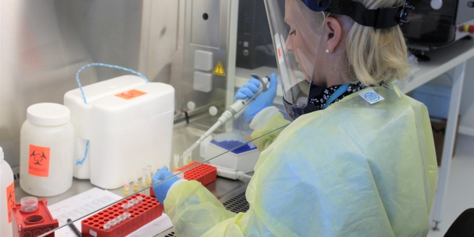 Dr Samantha Lodge, preparing COVID19 samples at the ANPC