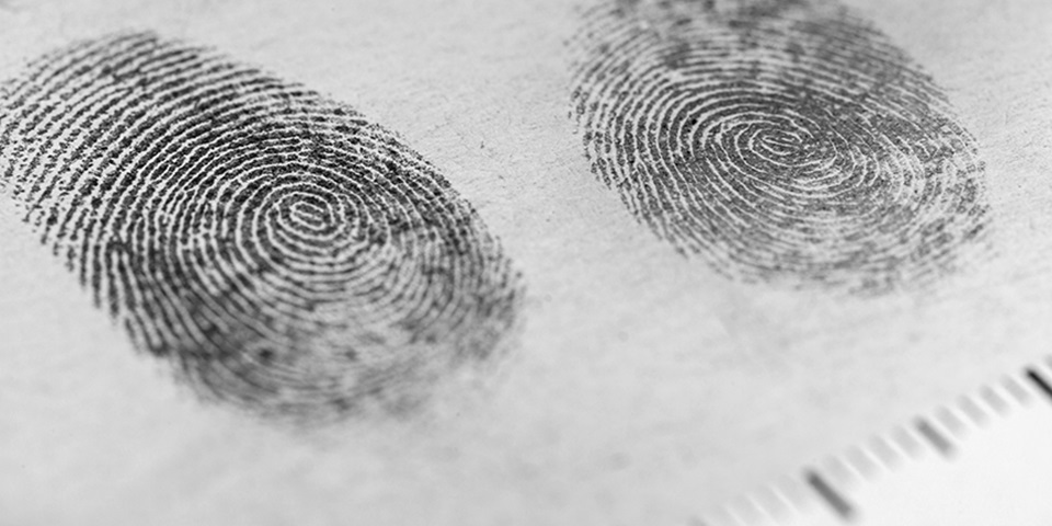 fingerprints fingerprints on paper in investigation