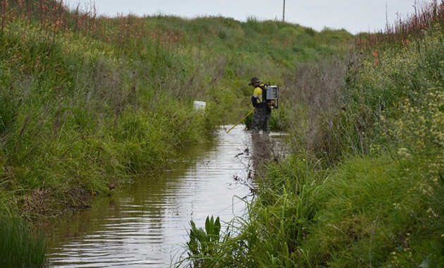 Creek in south west Australia