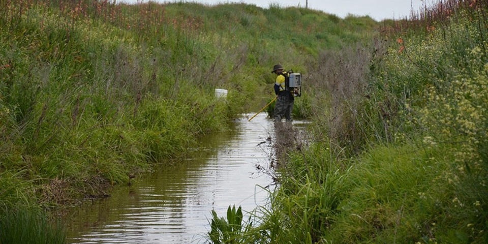 Creek in south west Australia