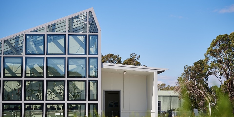 greenhouse