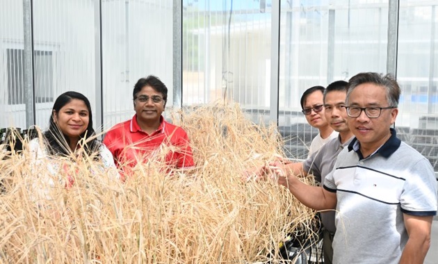 Barley research group