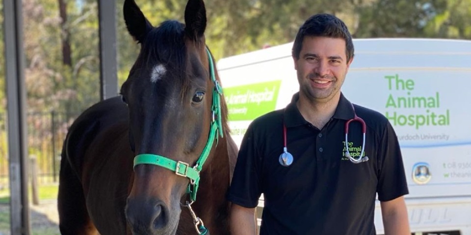 Murdoch University Senior Lecturer and Registered Specialist in Equine Medicine, Dr David Byrne with horse.
