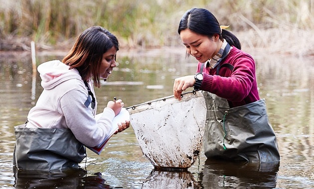 How gender equity can drive sustainable development