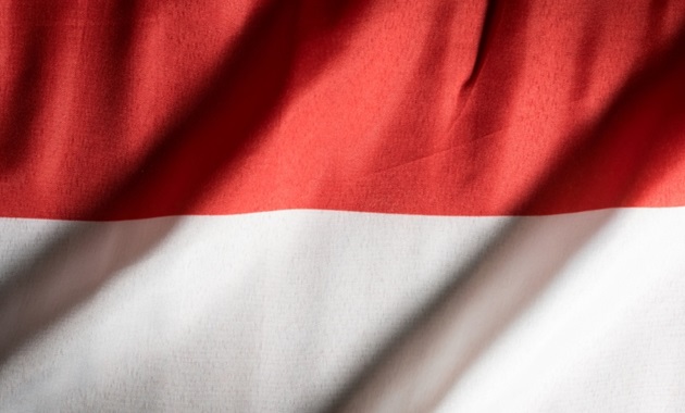 Indonesian flag