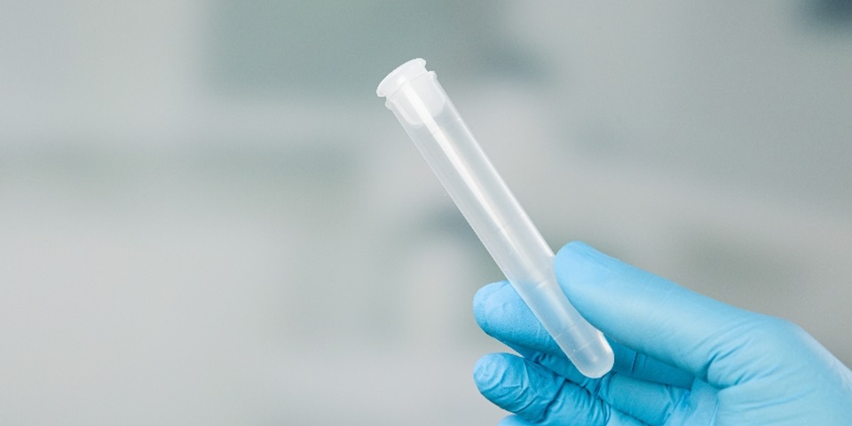 A gloved hand holding a test tube