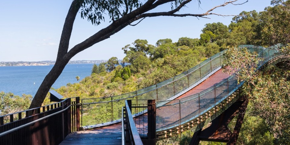 Kings Park - Feature Picture of walking trail in Kings Park