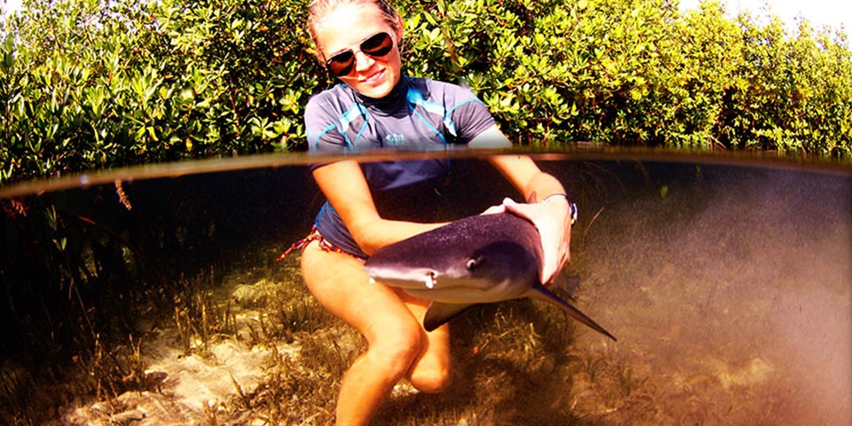 Lauran Brewster with lemon shark feature