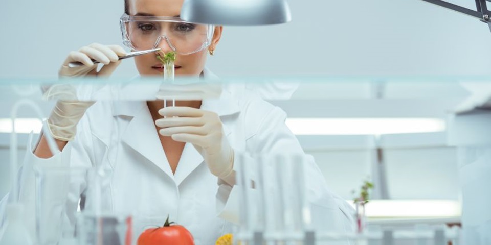 Master Food Science Feature image 860 x 480 px Food scientist inspects food sample test tube in a lab