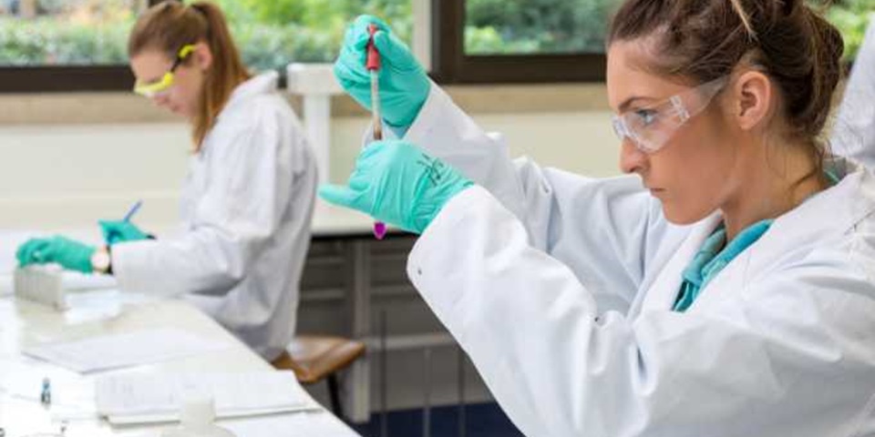 Master of Biosecurity - Feature Two students sitting next to each other in a lap, the student on the right is out of focus and the student to the left is closest to the camera, concentrating on their work