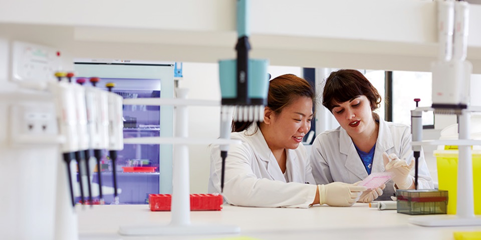 MSCP_Study_Feature Students working in a lab