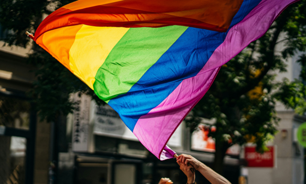 Pride flag being held in the air.