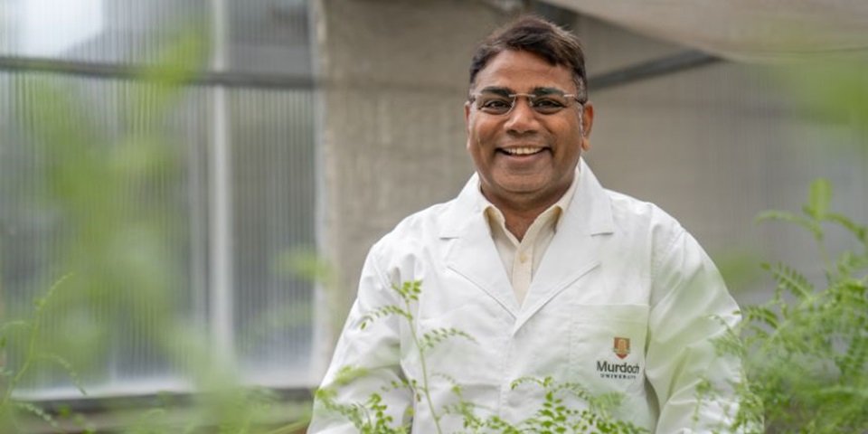Rajeev Fellow (860 ? 480px)