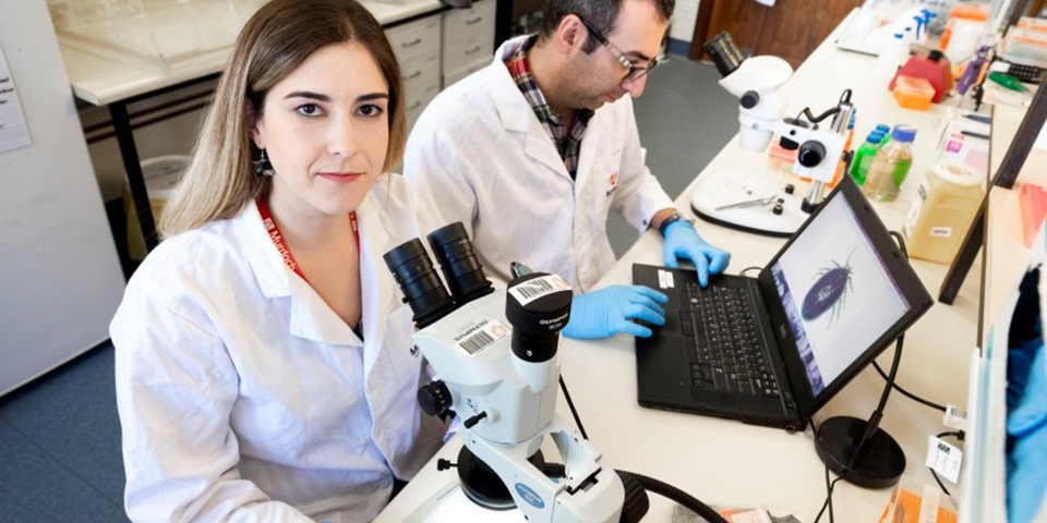 Scientists studying ticks