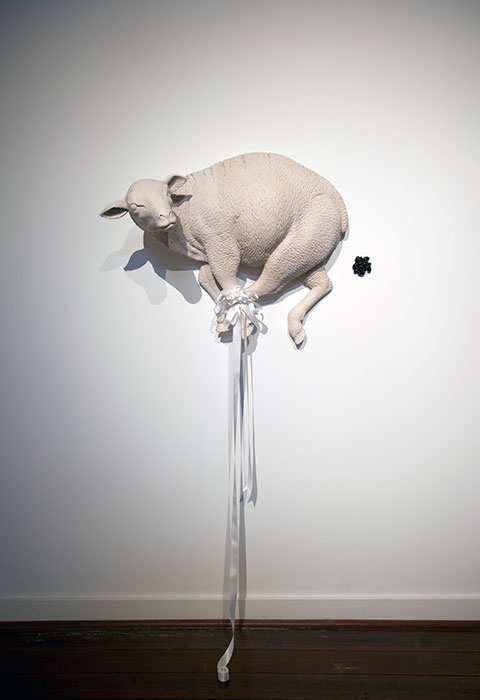 Sheep