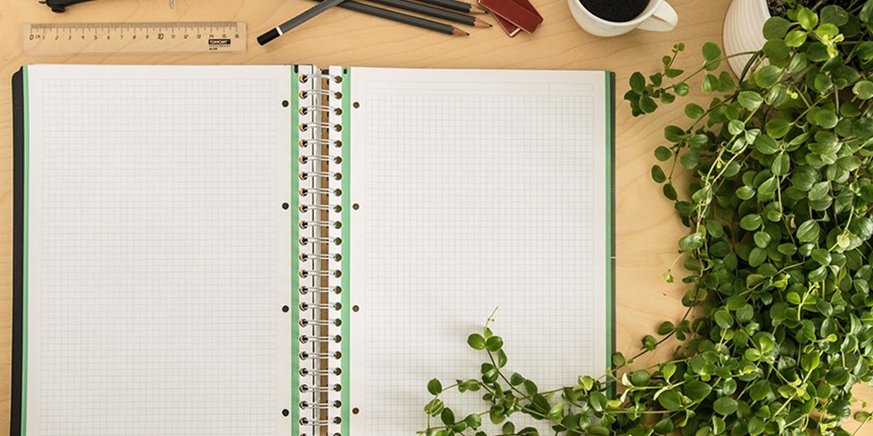 Notebook with ruler and plant feature Notebook with ruler and plant