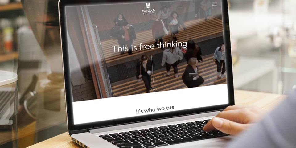 person looking at the this is free thinking website on a laptop
