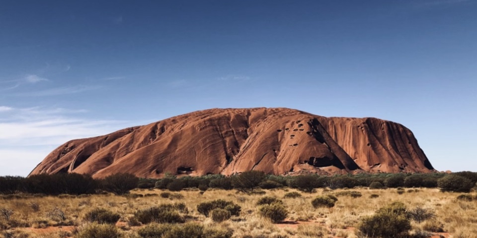 Uluru in the day with desert grass in the foreground