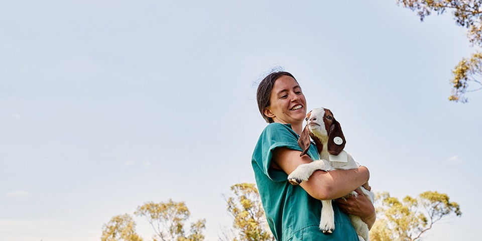 Vet_Study_Feature Female student holding a small goat, smiling.