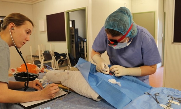 Vets operating on a dog in a mobile clinic