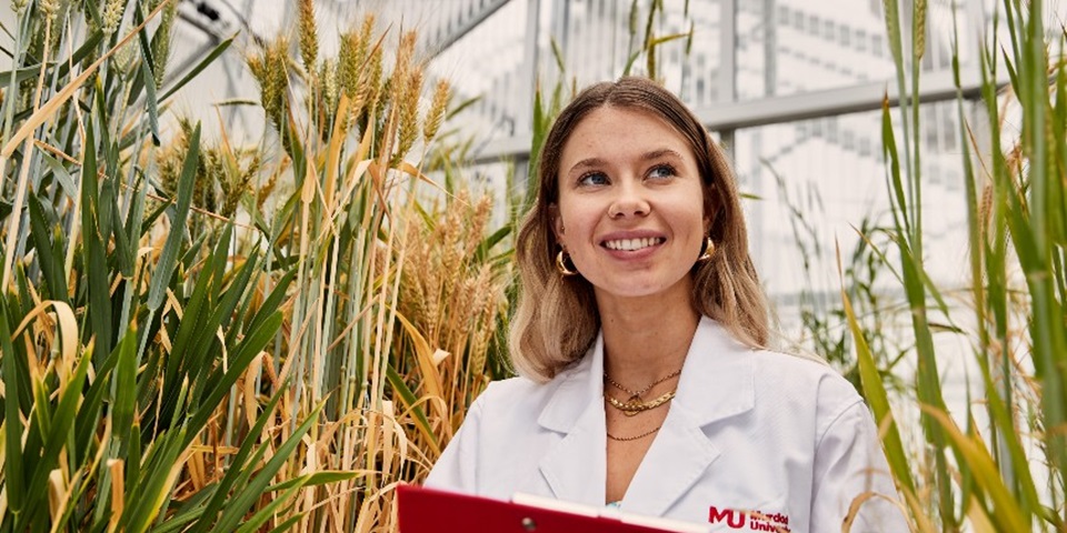 What job can I get in Agricultural Science from Murdoch? Murdoch student standing among crops
